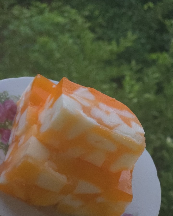 عکس ژله پرتقالی 