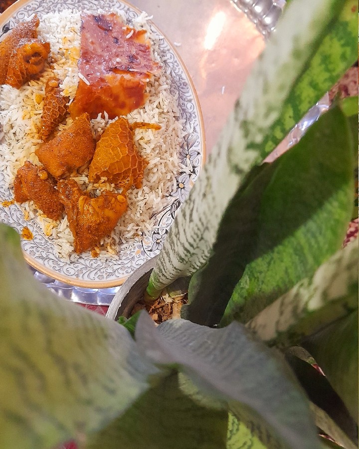 عکس سیرابی شکم پرر??