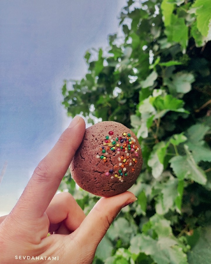 عکس کوکی