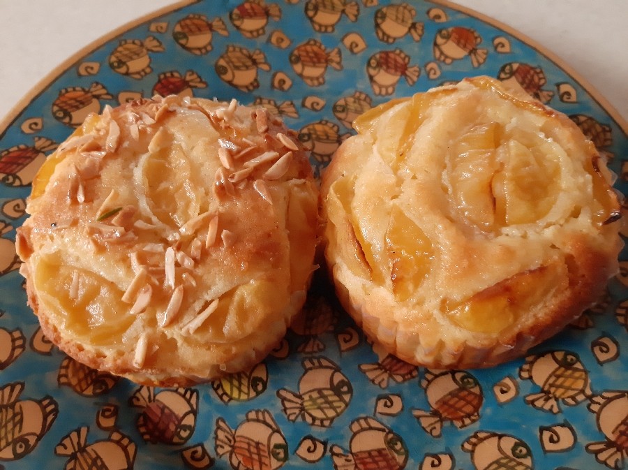عکس پای زردآلو 