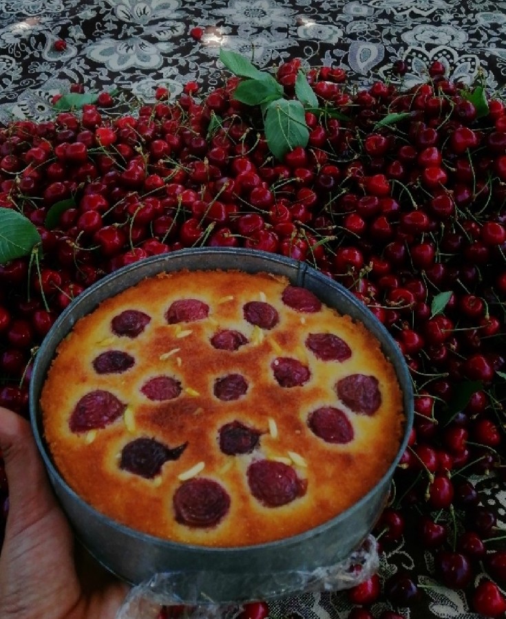 عکس کیک گیلاس