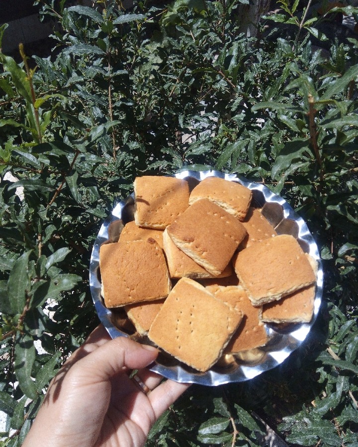 عکس کلوچه زنجبیلی ? 