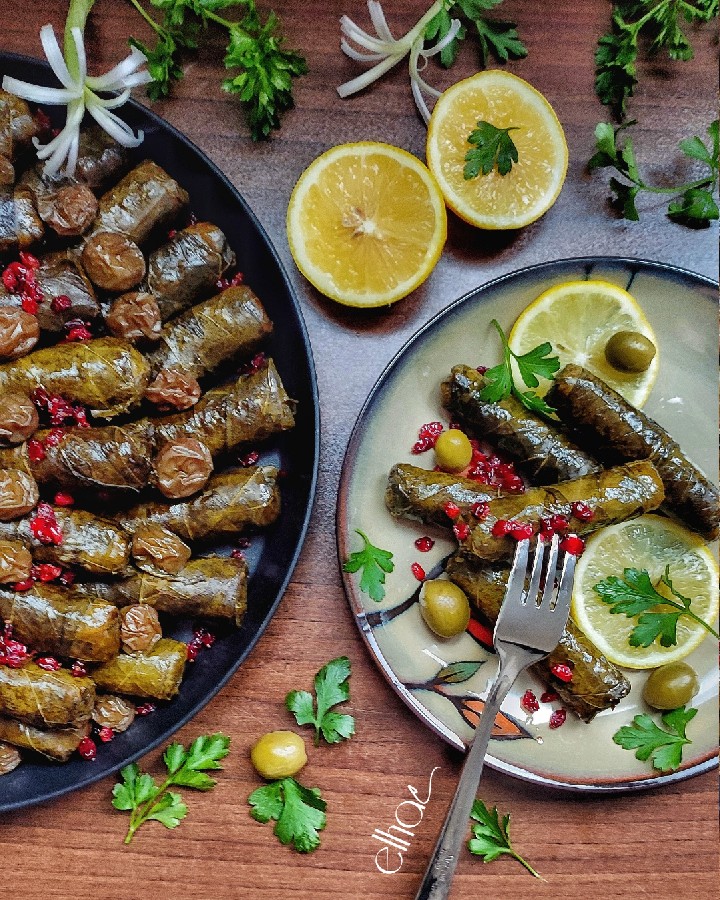 عکس دلمه برگ مو