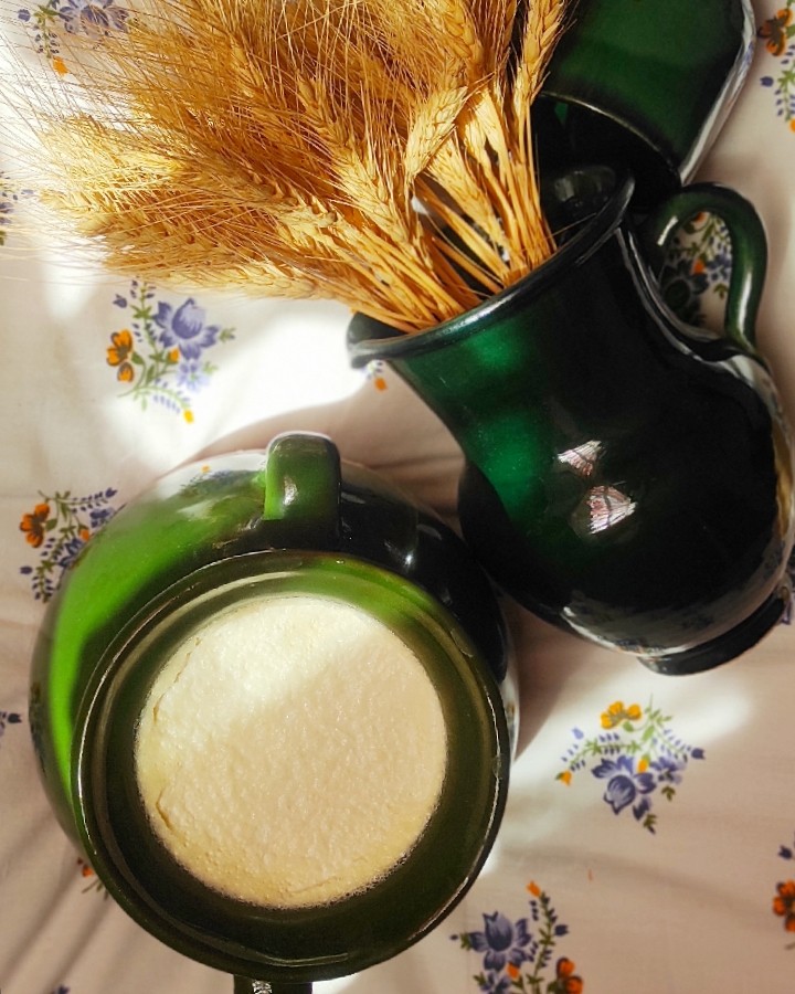 عکس ماست خانگی 