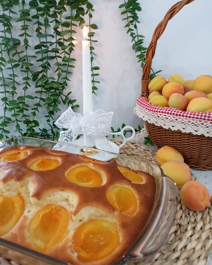 عکس کیک زردآلو 
