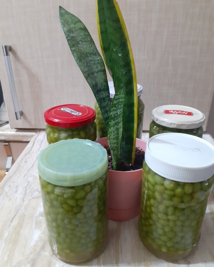 عکس ترشی غوره با آبغوره 