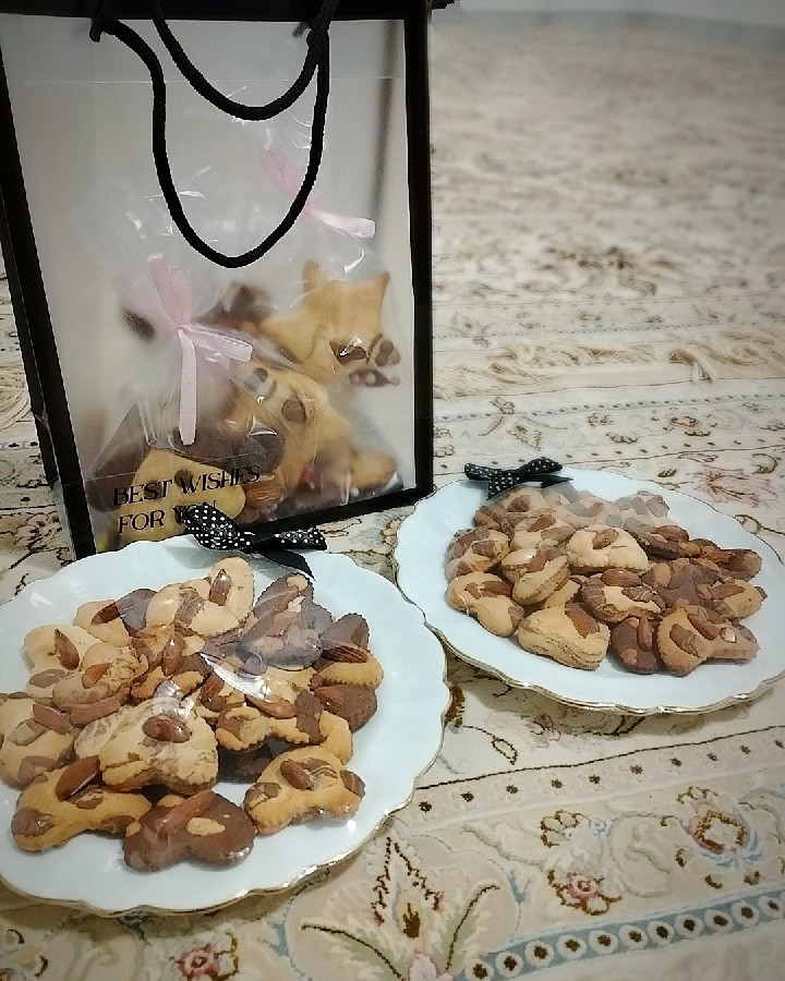 عکس بیستکوییت 