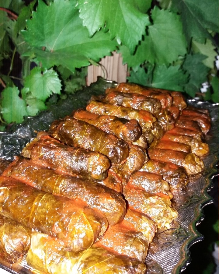 عکس دلمه