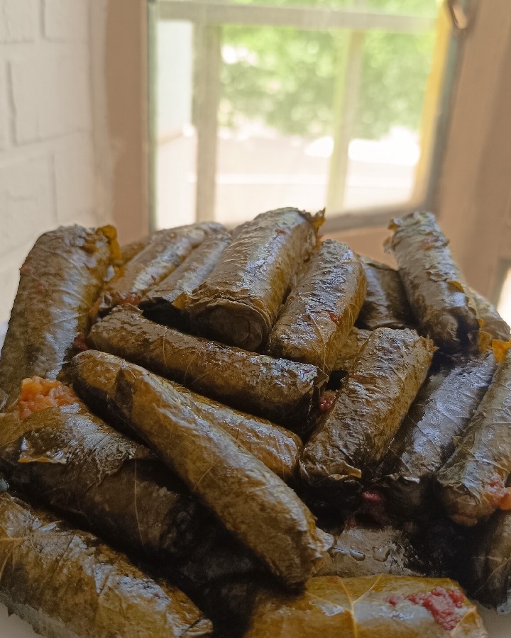 عکس دلمه برگ مو