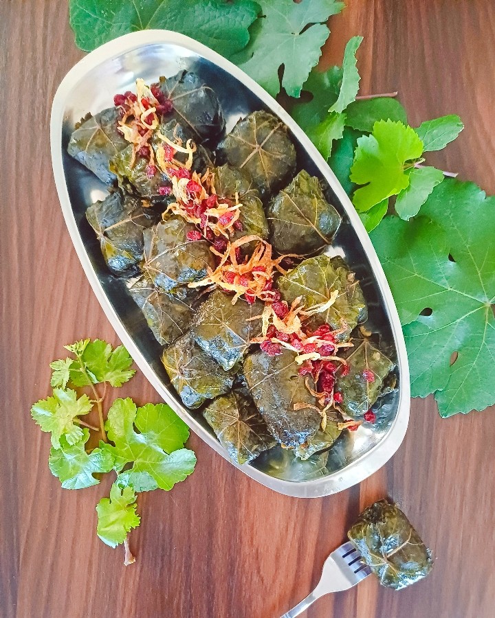 عکس دلمه برگ مو
