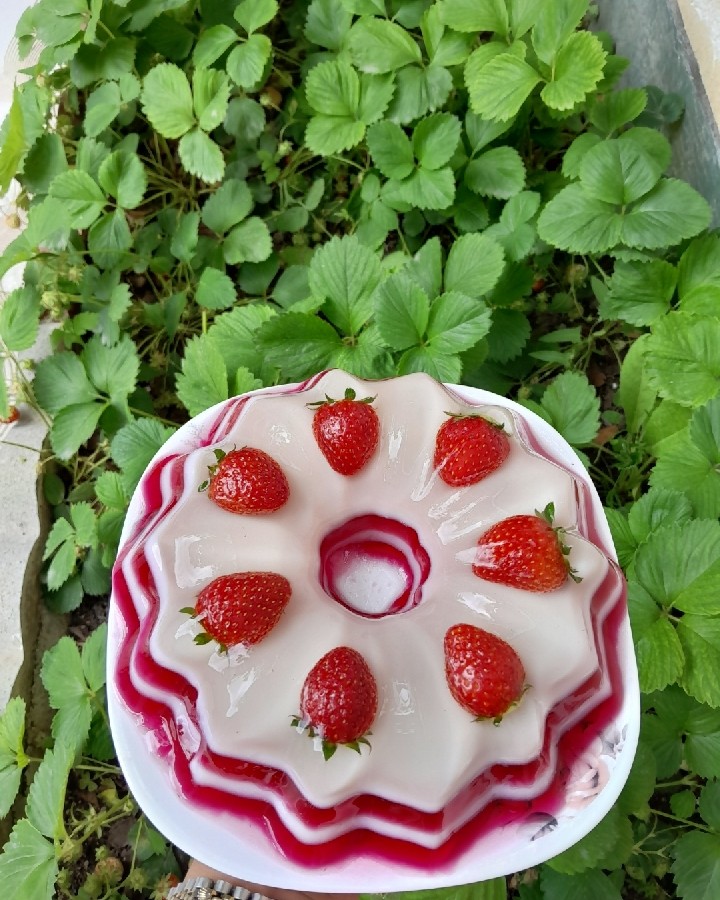 عکس ژله ویترینی توت فرنگی 