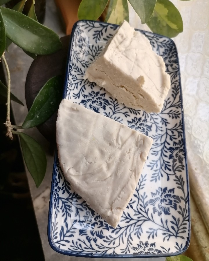 عکس پنیر خونگی