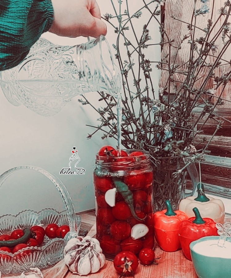 عکس گوجه شور