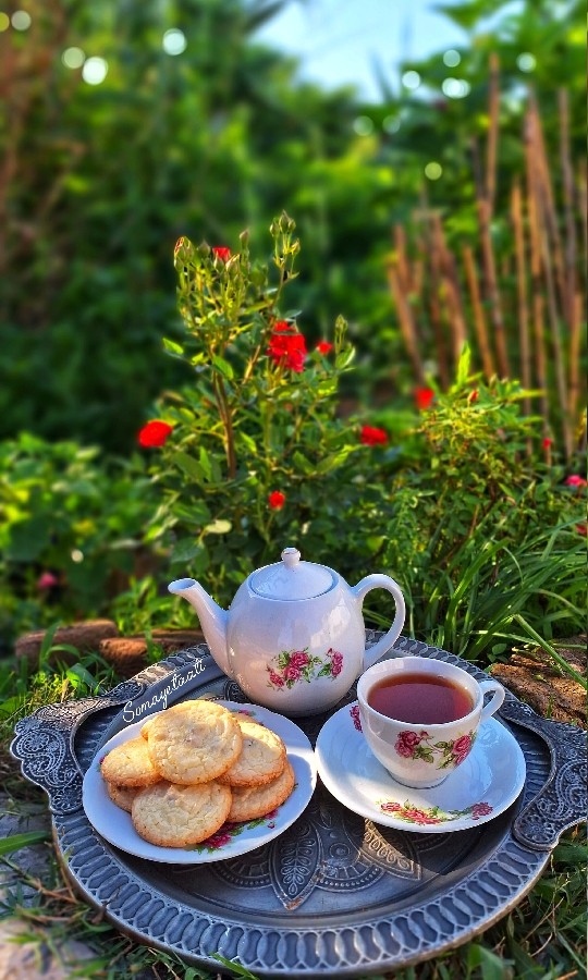 عکس شیرینی کشمشی