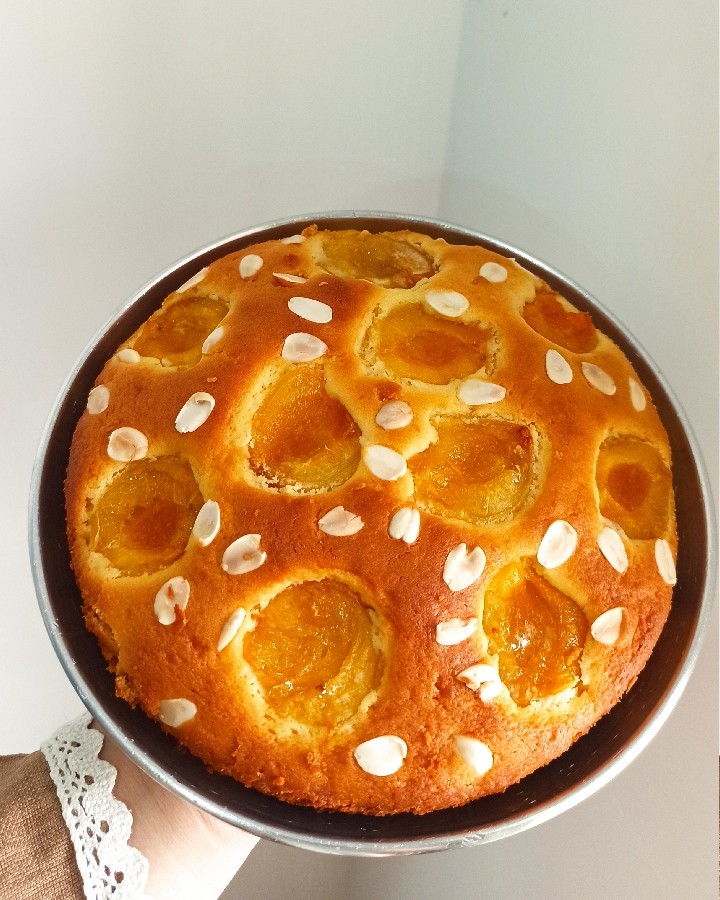 عکس کیک زردآلو 