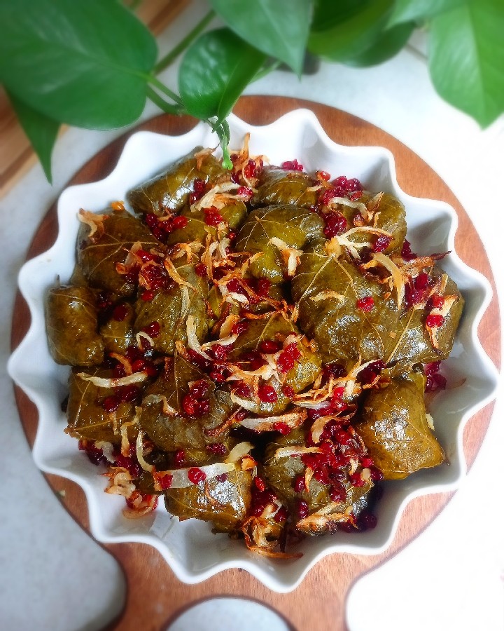 عکس دلمه
