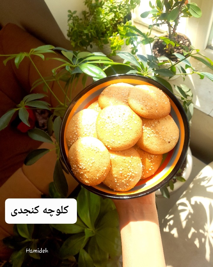 عکس ☀️ آفتاب، گیاه، و یه ظرف کلوچه کنجدی خونگی...
چی بهتر از این برای یه عصرونه دلچسب؟ ??