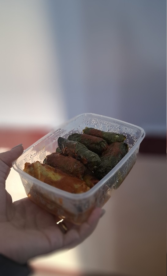 عکس دلمه برگ همکار پز