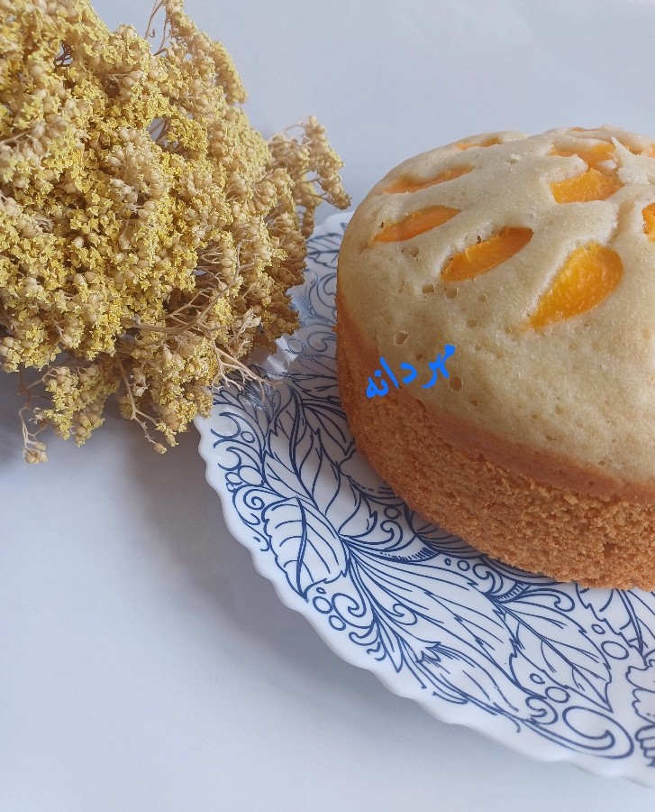 عکس کیک زردآلو