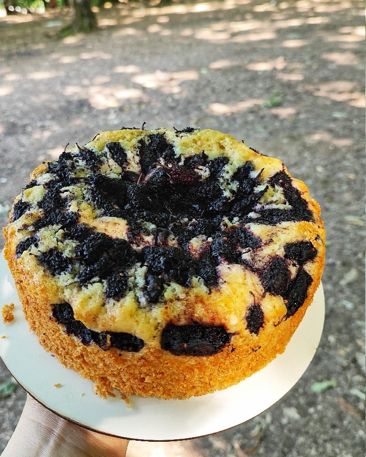 عکس کیک شاتوت