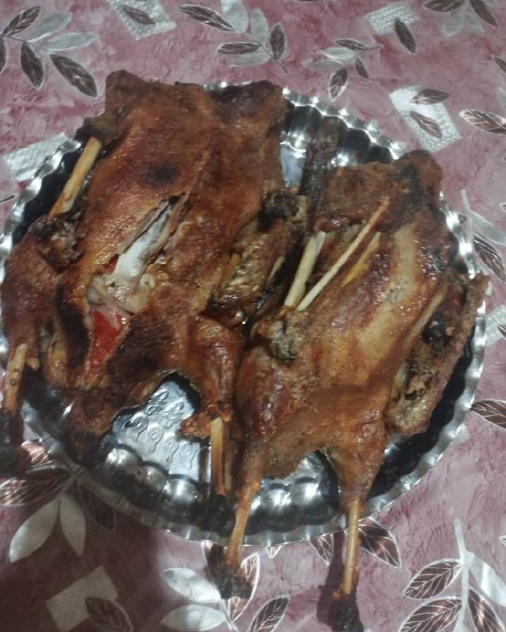 عکس غاز شکم پر روی نمک 