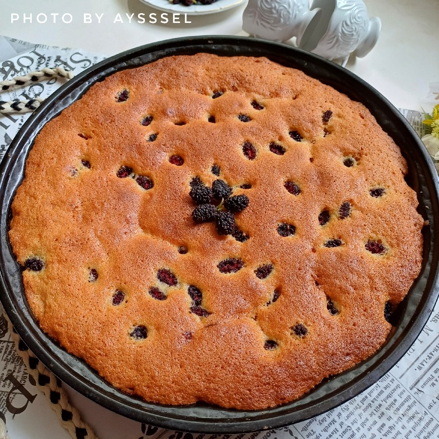 عکس کیک شاتوت