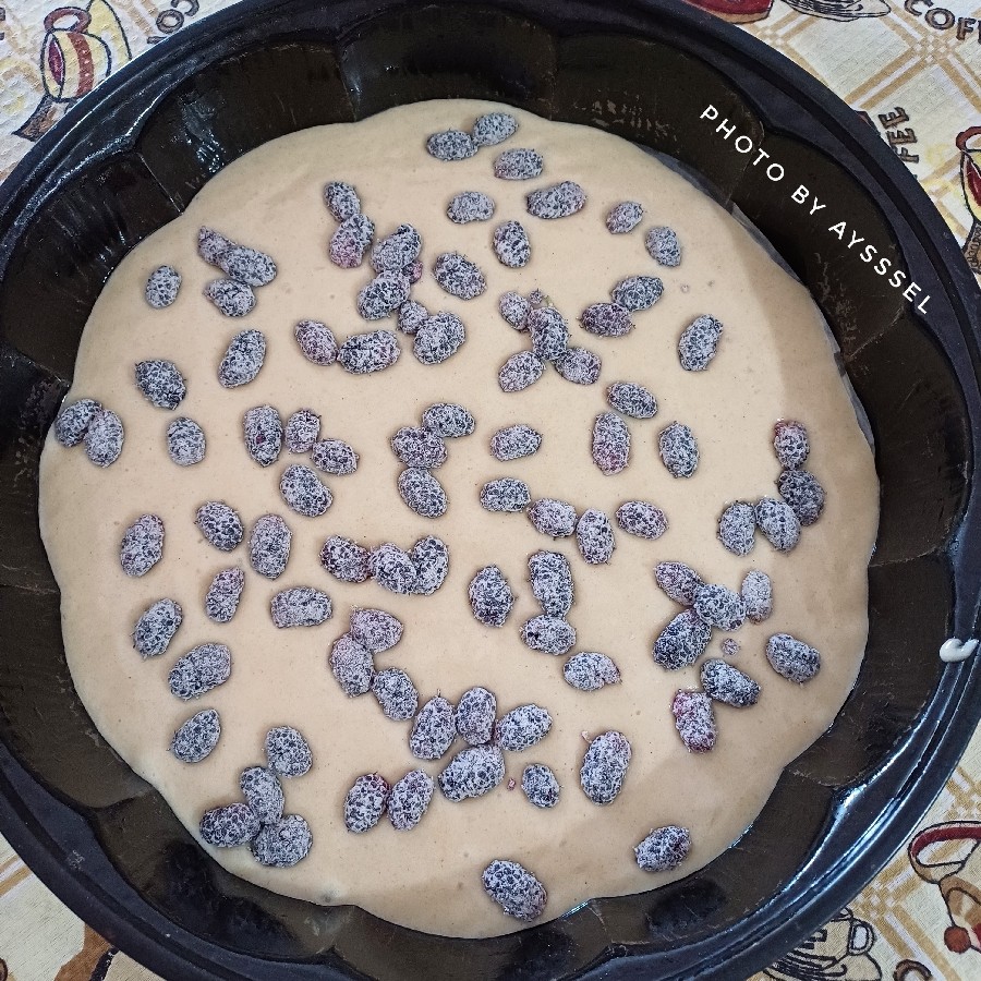 عکس کیک شاتوت