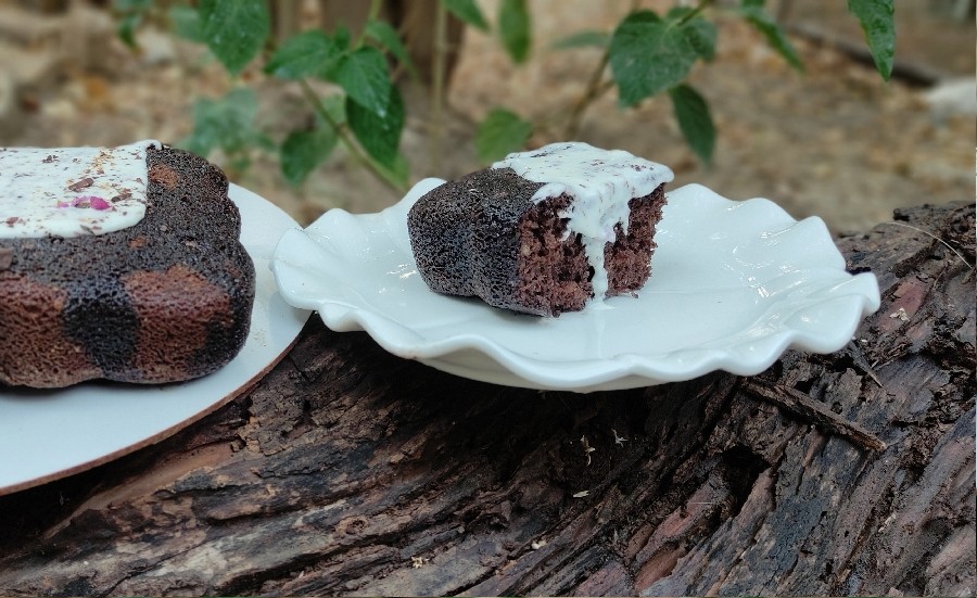 عکس کیک شکلاتی 