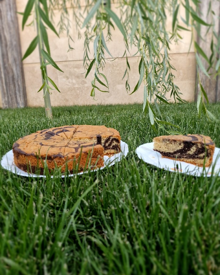 عکس زبرا کیک پنبه ای