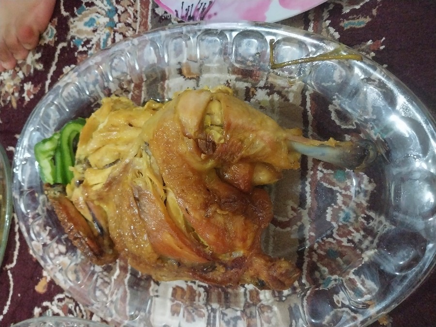 عکس اکبرجوجه