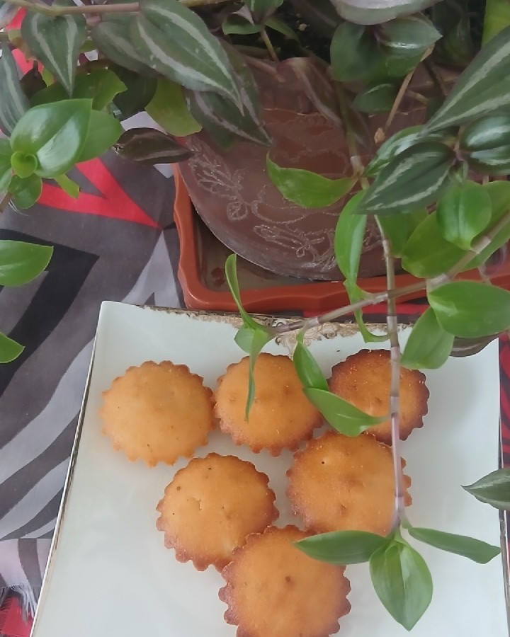عکس   کیک یزدی