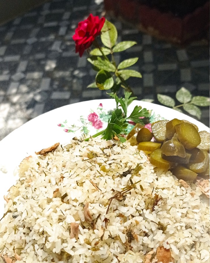 عکس شوید پلو