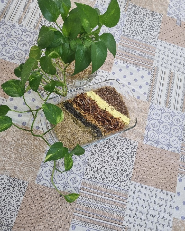 عکس کشک بادمجون خوشمزه وعالی