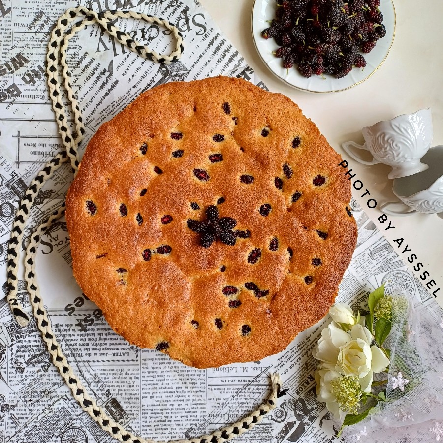 عکس کیک شاتوت