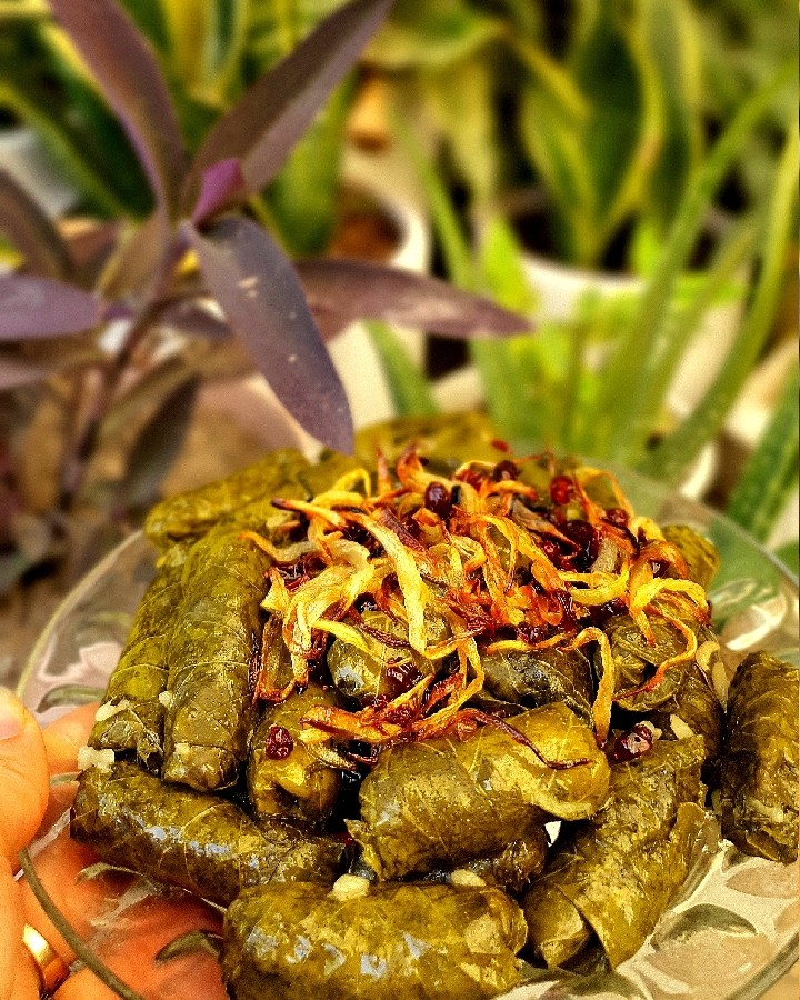 عکس دلمه