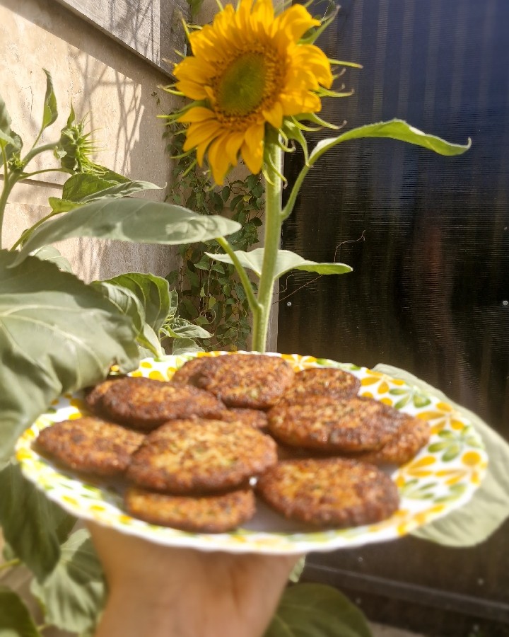 عکس کتلت