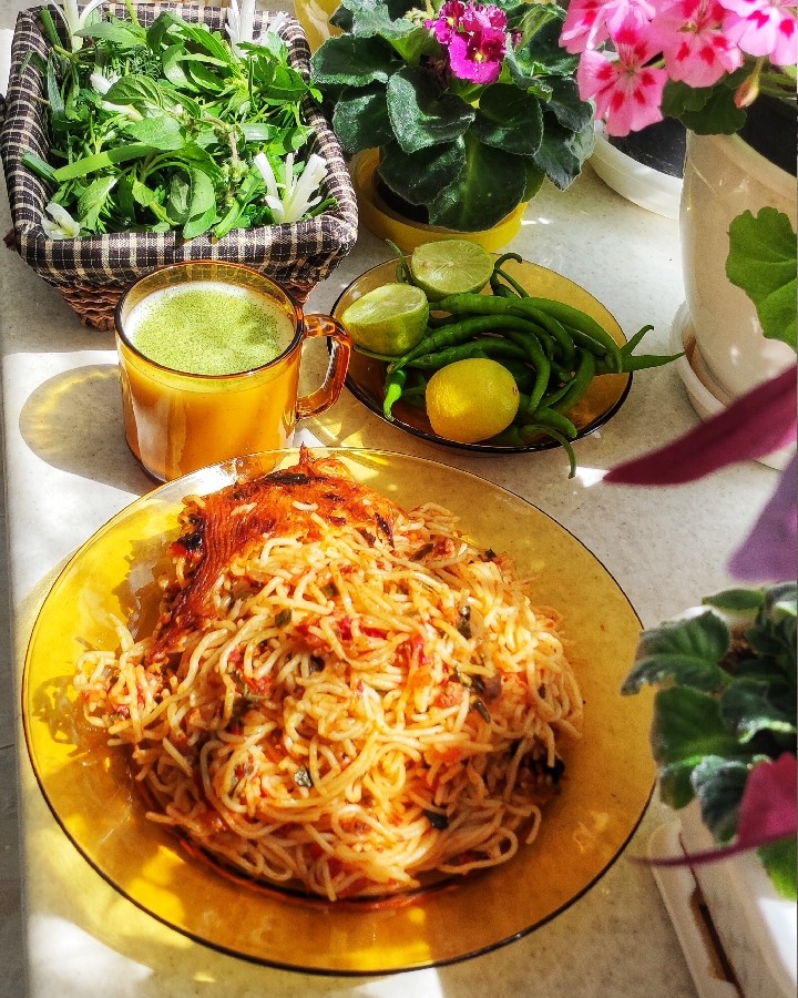 عکس ماکارونی ساده