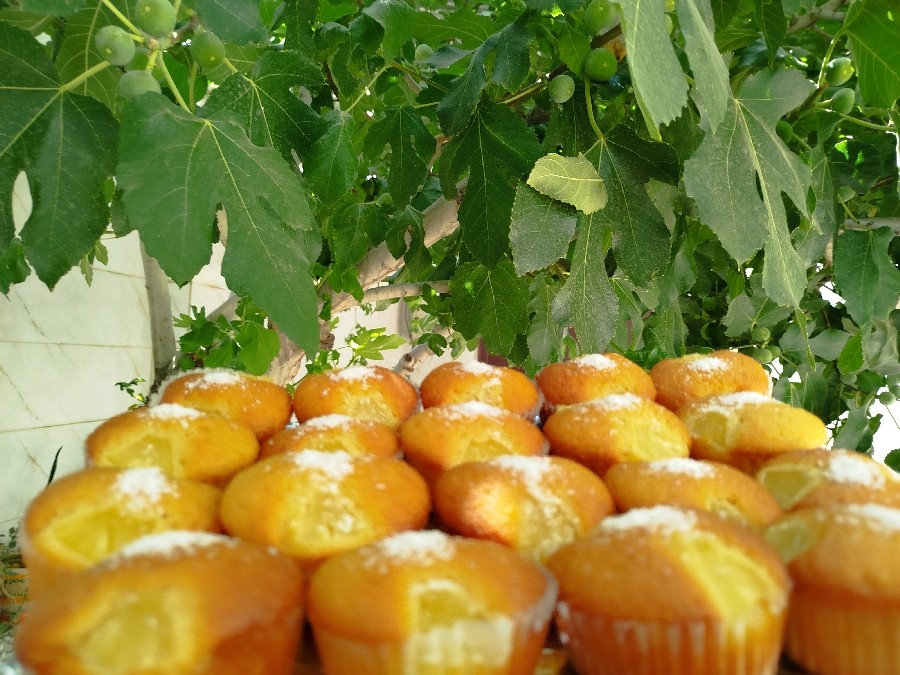 عکس پای اناناس