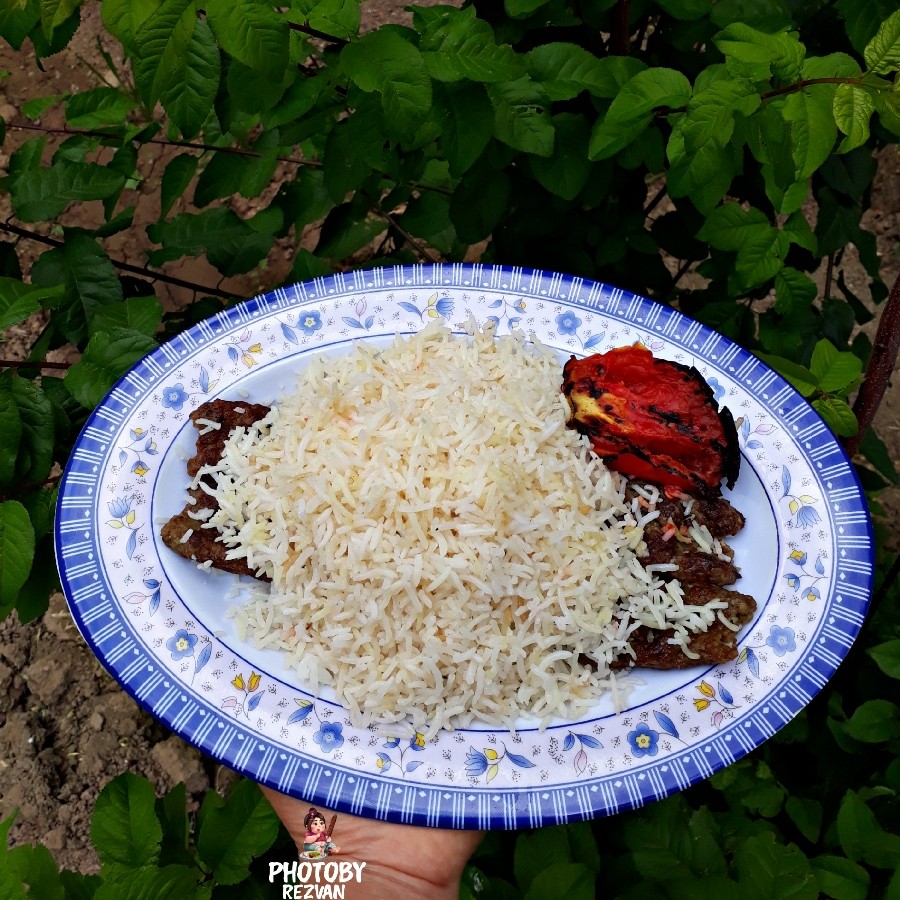 عکس چلو کباب ִֶָ֪֢
