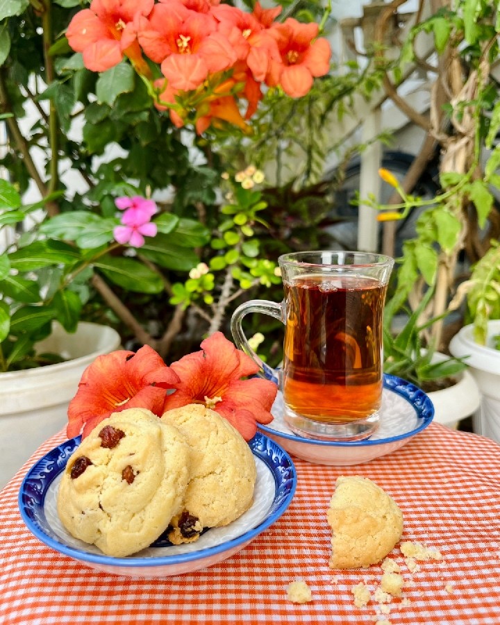 عکس کوکی کشمشی 