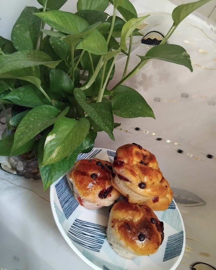 عکس بابکای گرد آلبالو و شکلات