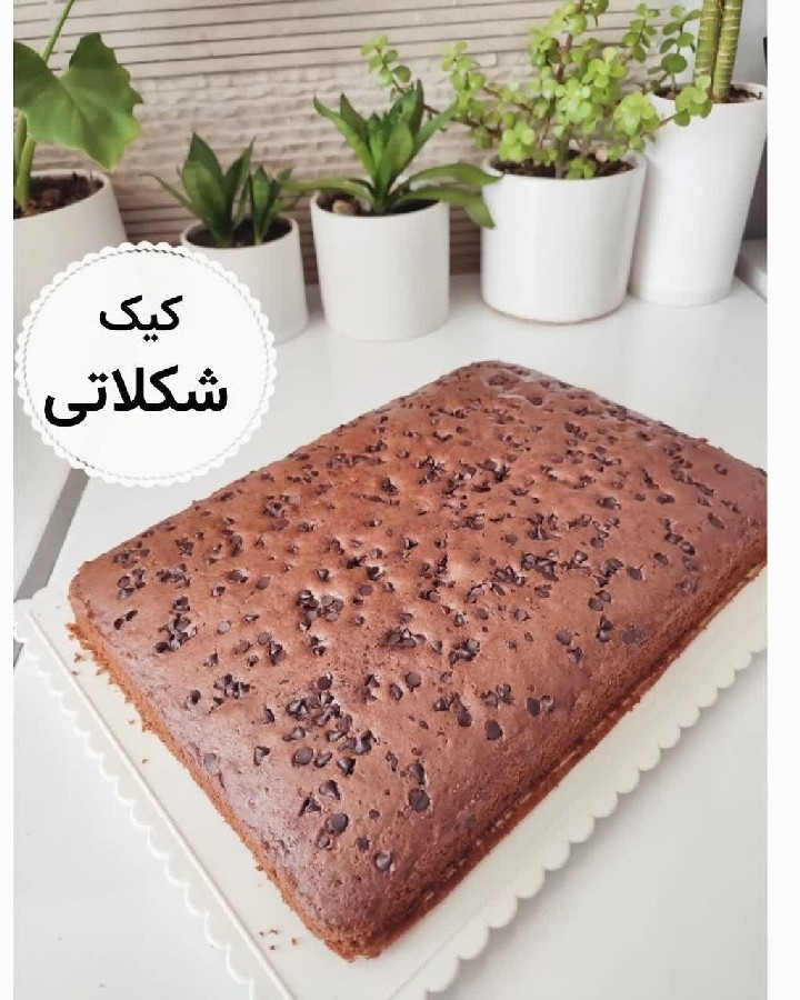 عکس کیک شکلاتی 