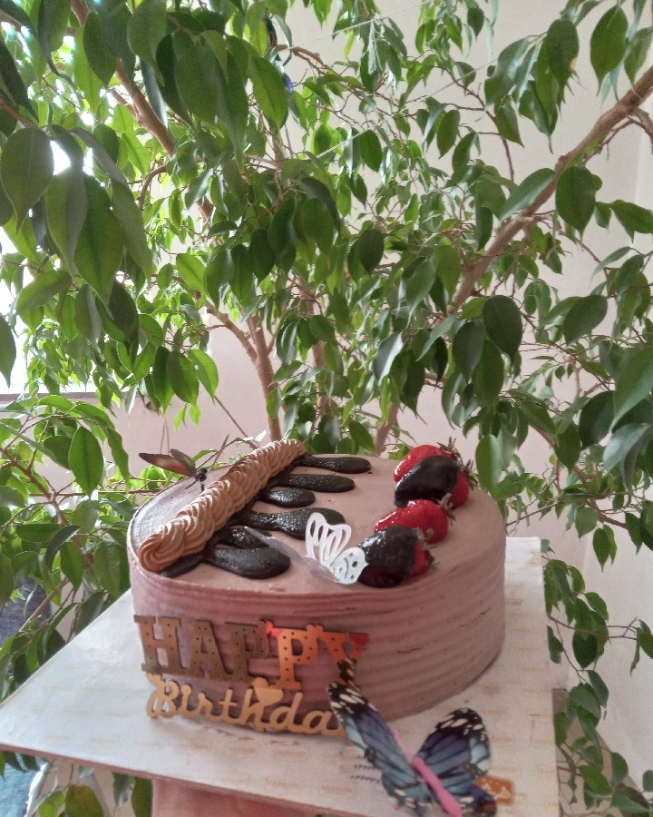 عکس کیک تولد آردا جانم