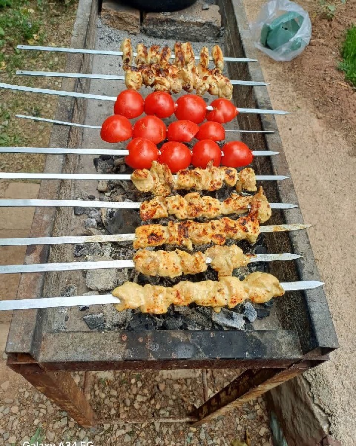 عکس عکس هایی از دل طبیعت اَمامه (شمیرانات )
جوجه کباب 