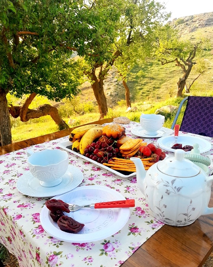 عکس لواشک آلبالو وکیک یزدی