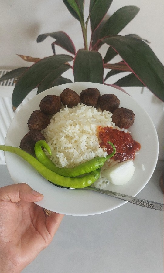 عکس بشقاب غذا به سبک بوغدا جان
