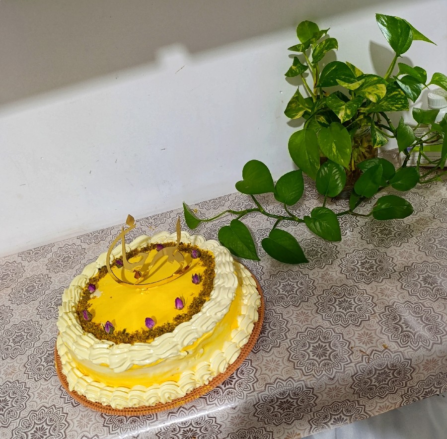 عکس کیک مسقطی 