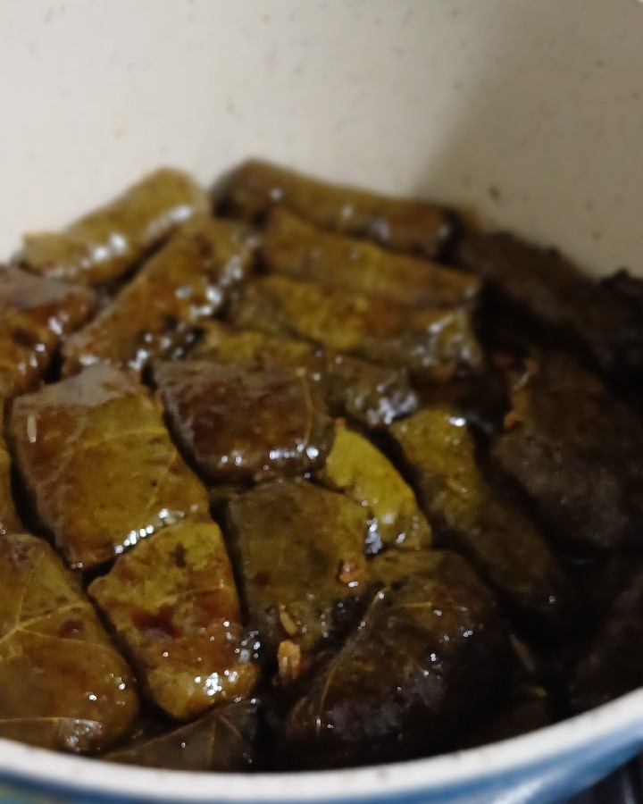 عکس دلمه جان 