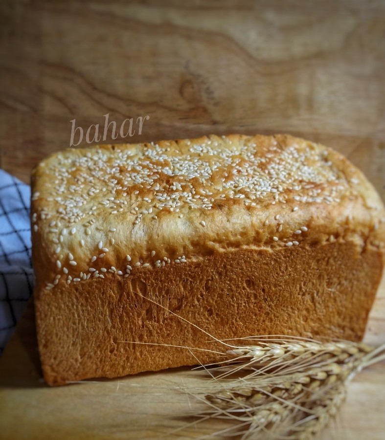عکس نون تست