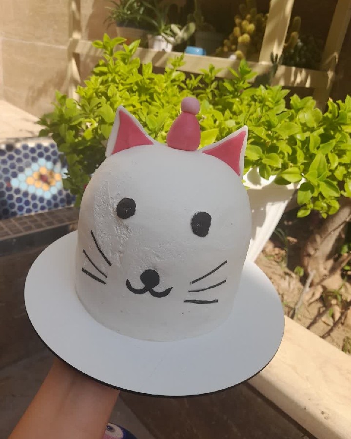 عکس کیک جذاب من
